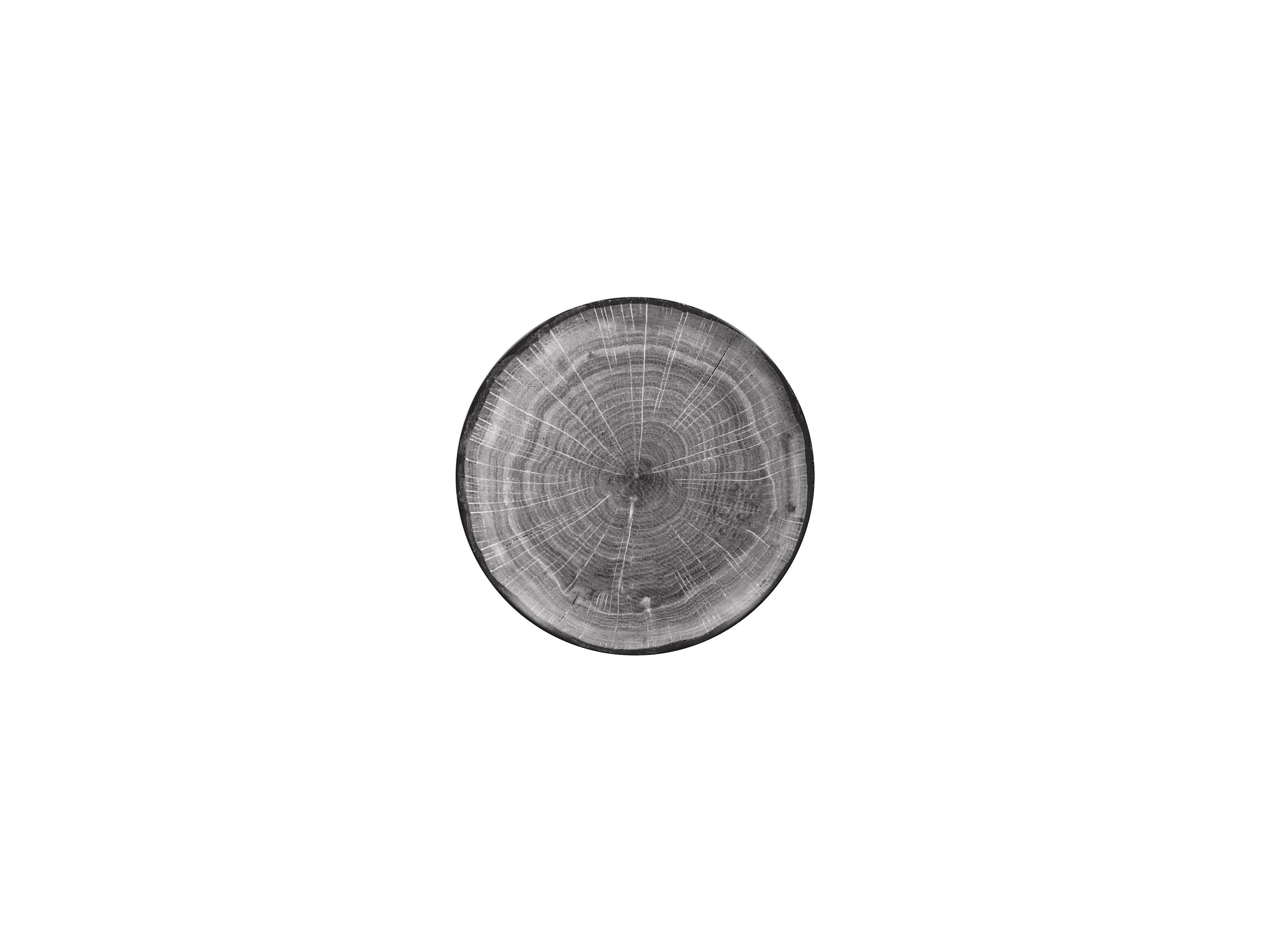 Teller coup 15cm FUSION WOODART beech-grey