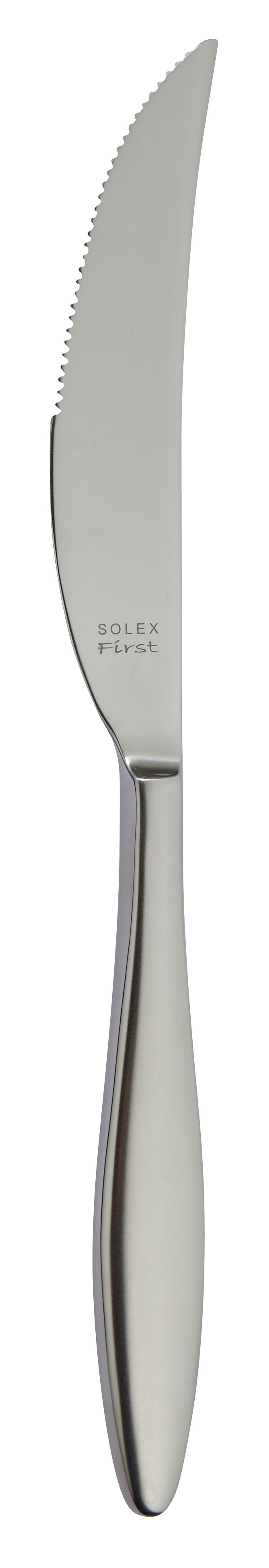 Steakmesser 239mm Vollheft TERRA RETRO